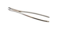 Premium Equine Dental Forceps Hewson Style